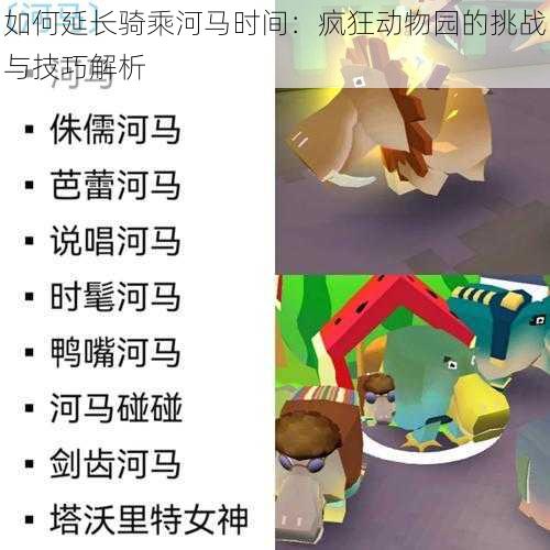 如何延长骑乘河马时间：疯狂动物园的挑战与技巧解析