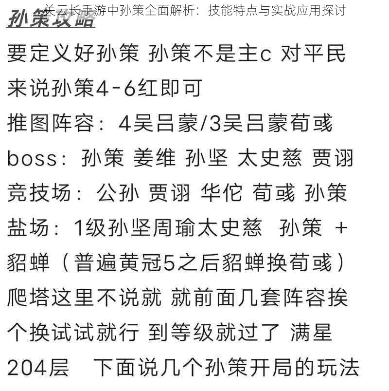 关云长手游中孙策全面解析：技能特点与实战应用探讨