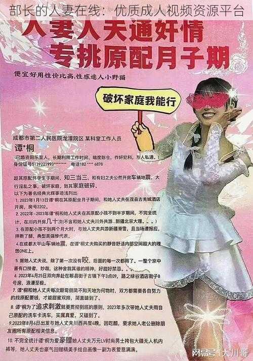 部长的人妻在线：优质成人视频资源平台