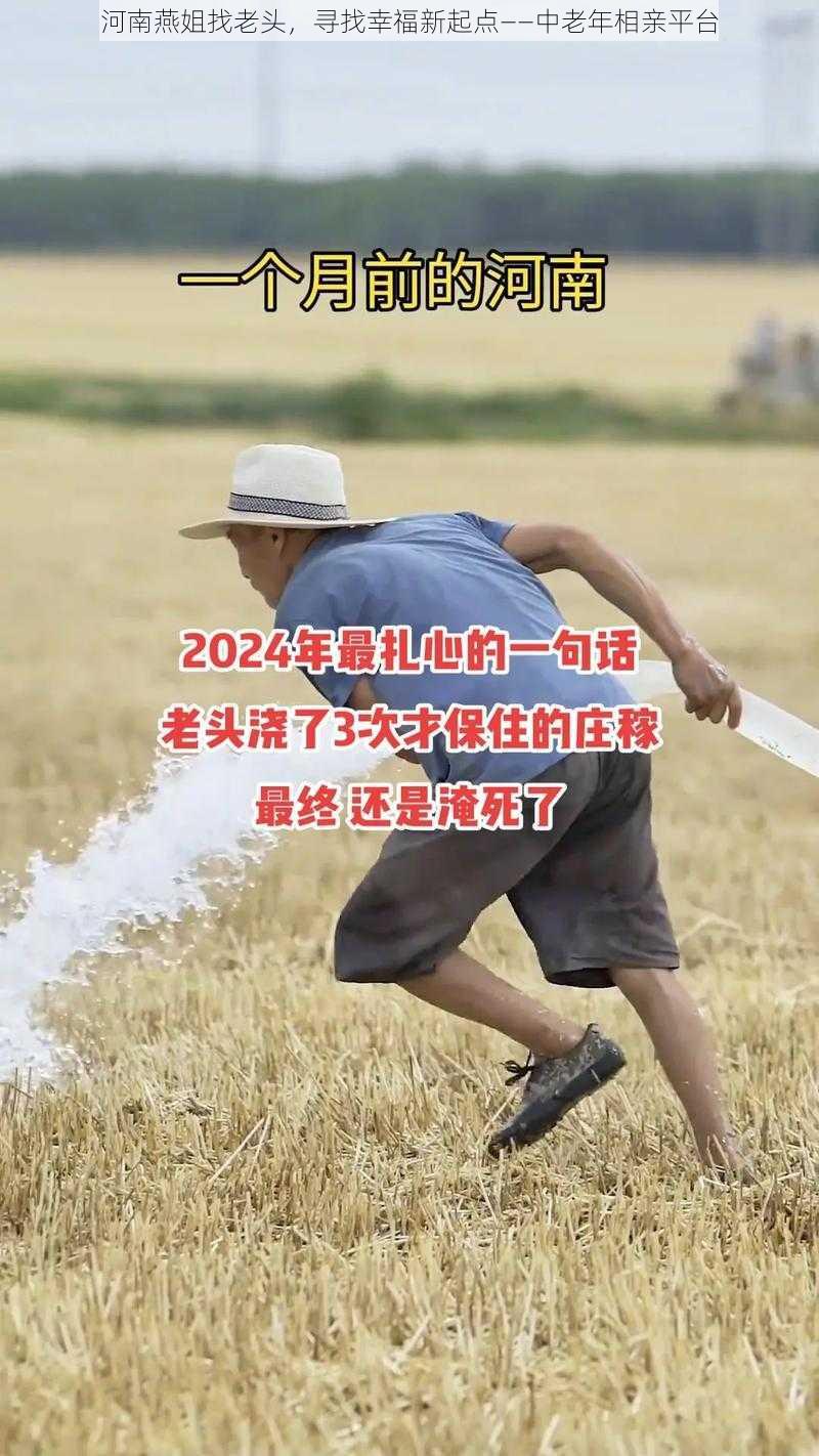 河南燕姐找老头，寻找幸福新起点——中老年相亲平台