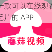 一款可以在线观看毛片的 APP