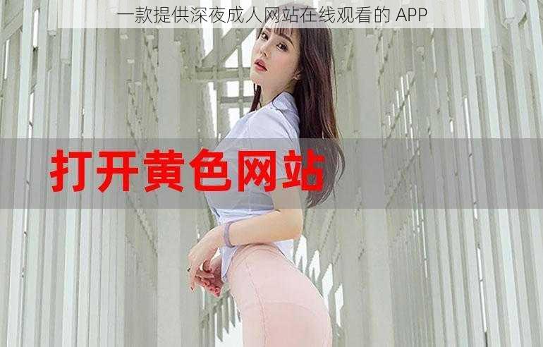 一款提供深夜成人网站在线观看的 APP