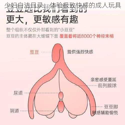 少妇白洁目录：体验极致快感的成人玩具