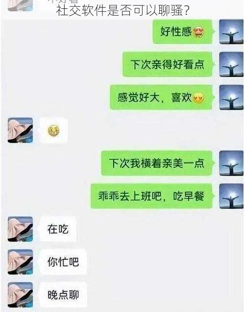 社交软件是否可以聊骚？