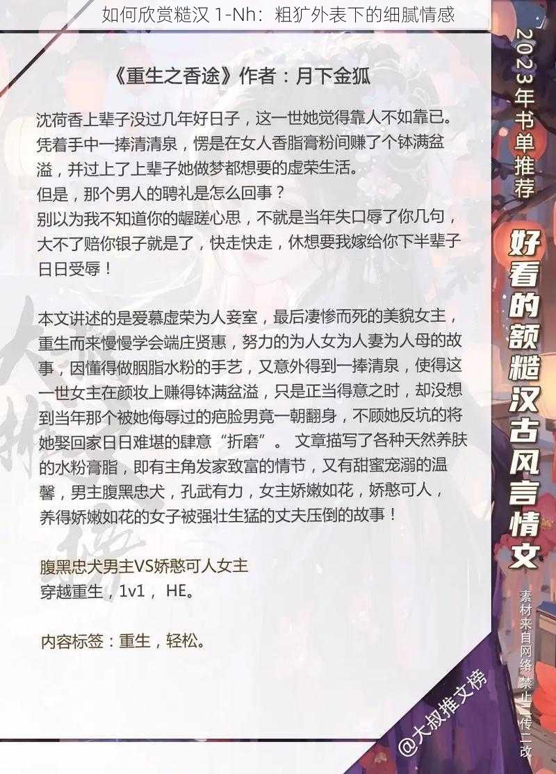 如何欣赏糙汉 1-Nh：粗犷外表下的细腻情感