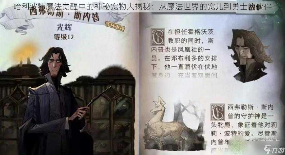 哈利波特魔法觉醒中的神秘宠物大揭秘：从魔法世界的宠儿到勇士的伙伴