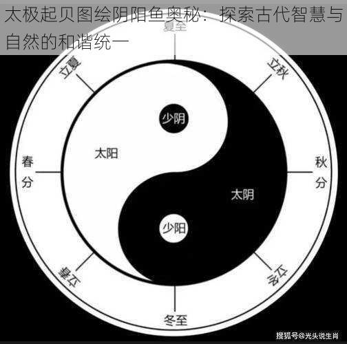 太极起贝图绘阴阳鱼奥秘：探索古代智慧与自然的和谐统一