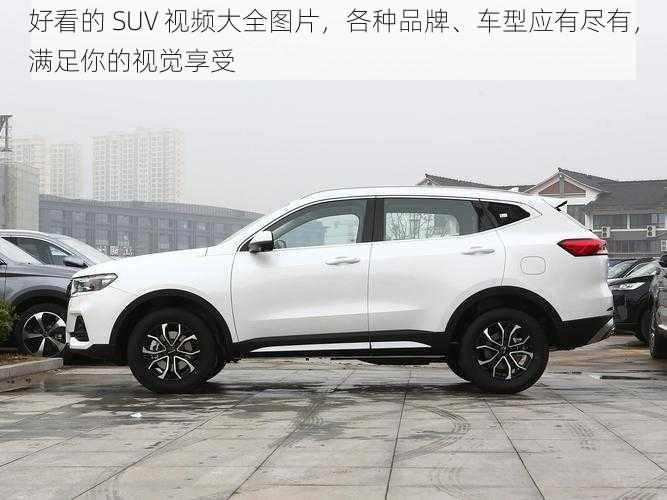 好看的 SUV 视频大全图片，各种品牌、车型应有尽有，满足你的视觉享受