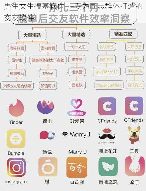 男生女生搞基软件——专为同志群体打造的交友软件