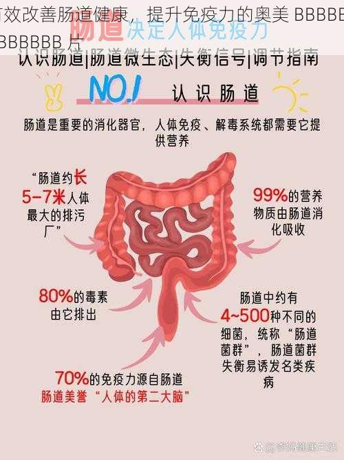 有效改善肠道健康，提升免疫力的奥美 BBBBBBBBBBBBB 片