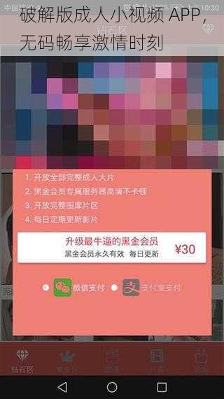 破解版成人小视频 APP，无码畅享激情时刻