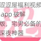 涩涩屋福利视频 app 破解版，宅男必备的深夜神器