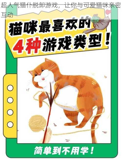 超人气猫仆脱卸游戏，让你与可爱猫咪亲密互动