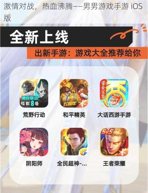 激情对战，热血沸腾——男男游戏手游 iOS 版