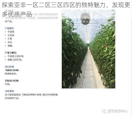 探索亚非一区二区三区四区的独特魅力，发现更多优质产品