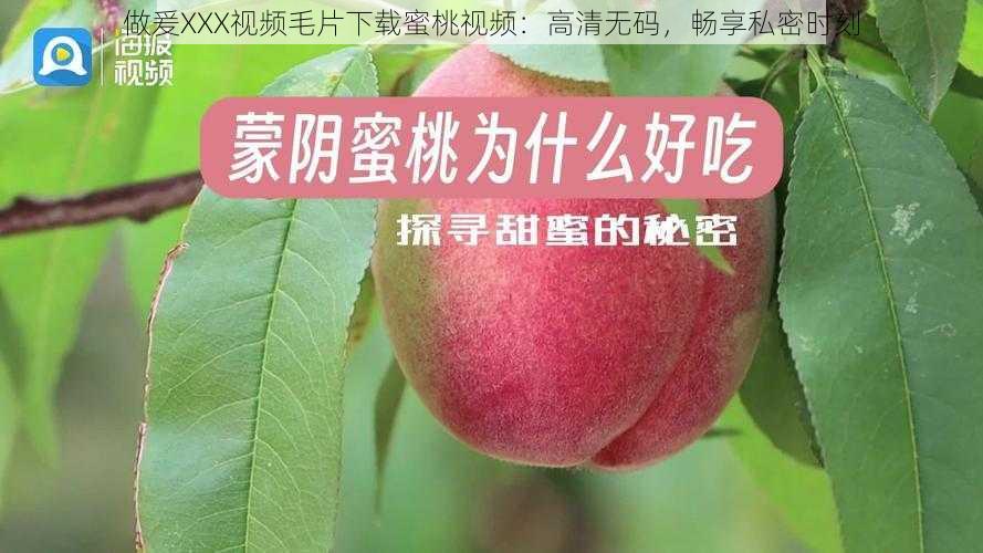 做爰XXX视频毛片下载蜜桃视频：高清无码，畅享私密时刻