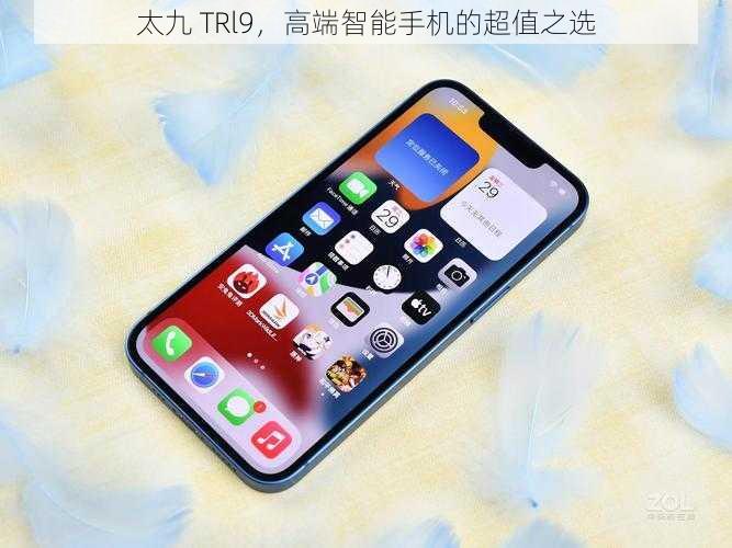 太九 TRl9，高端智能手机的超值之选