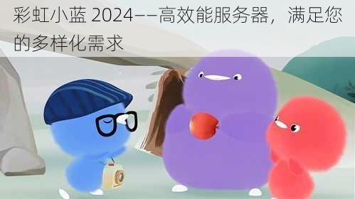 彩虹小蓝 2024——高效能服务器，满足您的多样化需求