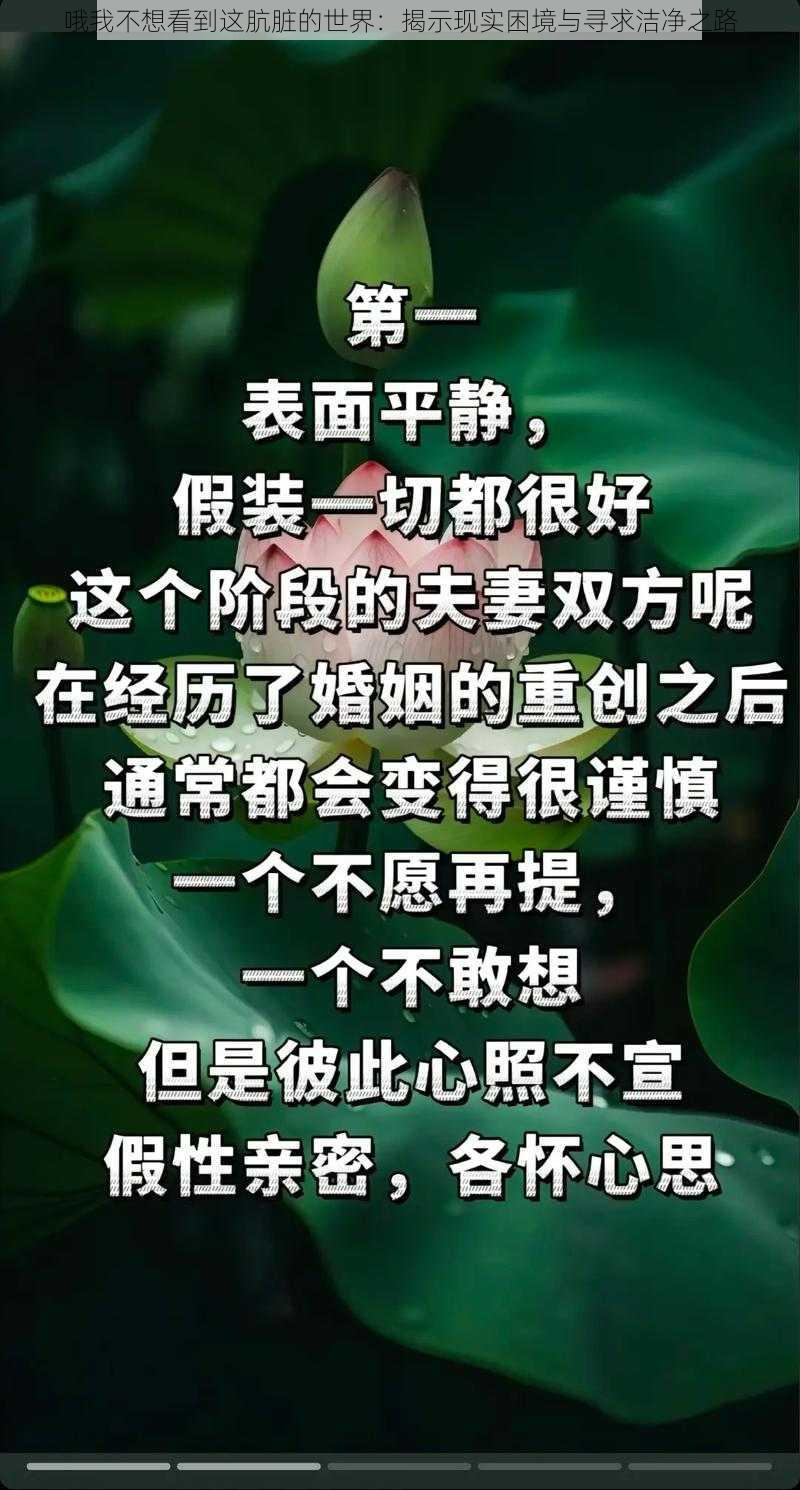 哦我不想看到这肮脏的世界：揭示现实困境与寻求洁净之路