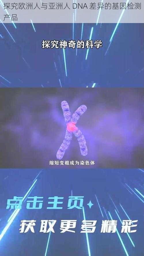 探究欧洲人与亚洲人 DNA 差异的基因检测产品