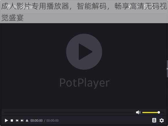 成人影片专用播放器，智能解码，畅享高清无码视觉盛宴