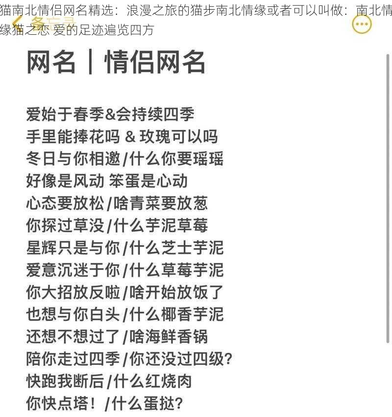 猫南北情侣网名精选：浪漫之旅的猫步南北情缘或者可以叫做：南北情缘猫之恋 爱的足迹遍览四方