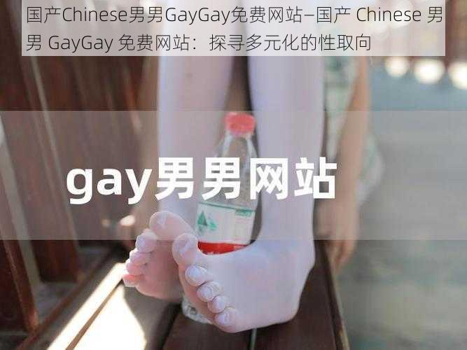 国产Chinese男男GayGay免费网站—国产 Chinese 男男 GayGay 免费网站：探寻多元化的性取向