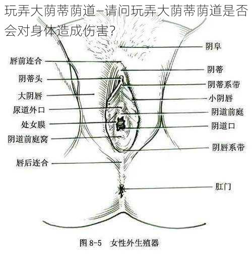 玩弄大荫蒂荫道—请问玩弄大荫蒂荫道是否会对身体造成伤害？