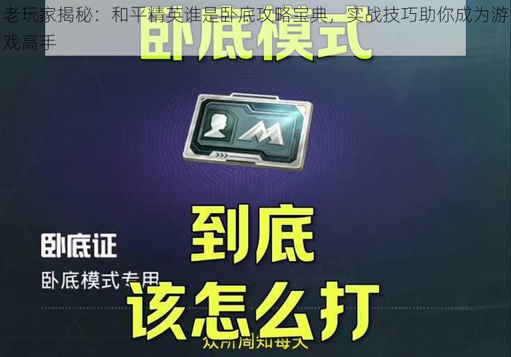 老玩家揭秘：和平精英谁是卧底攻略宝典，实战技巧助你成为游戏高手