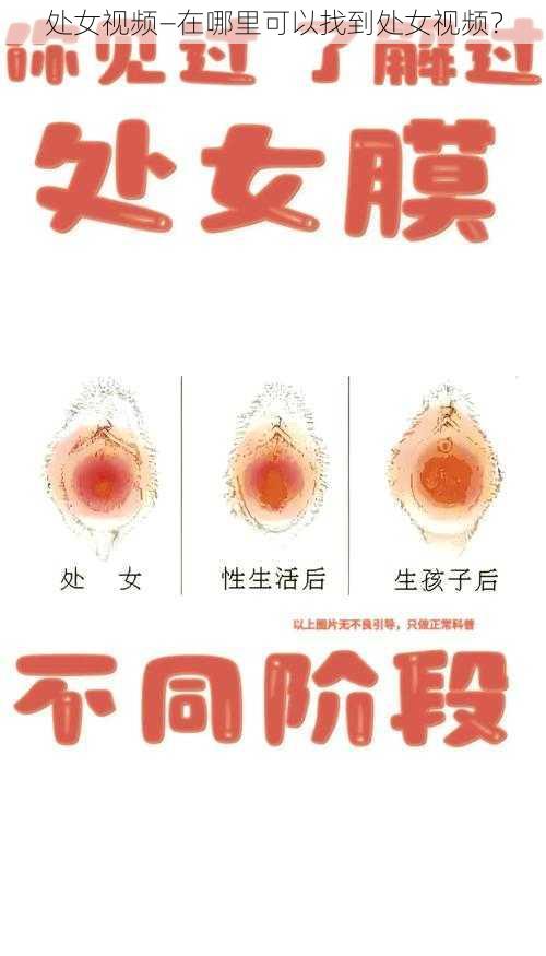 处女视频—在哪里可以找到处女视频？