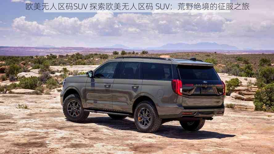 欧美无人区码SUV 探索欧美无人区码 SUV：荒野绝境的征服之旅