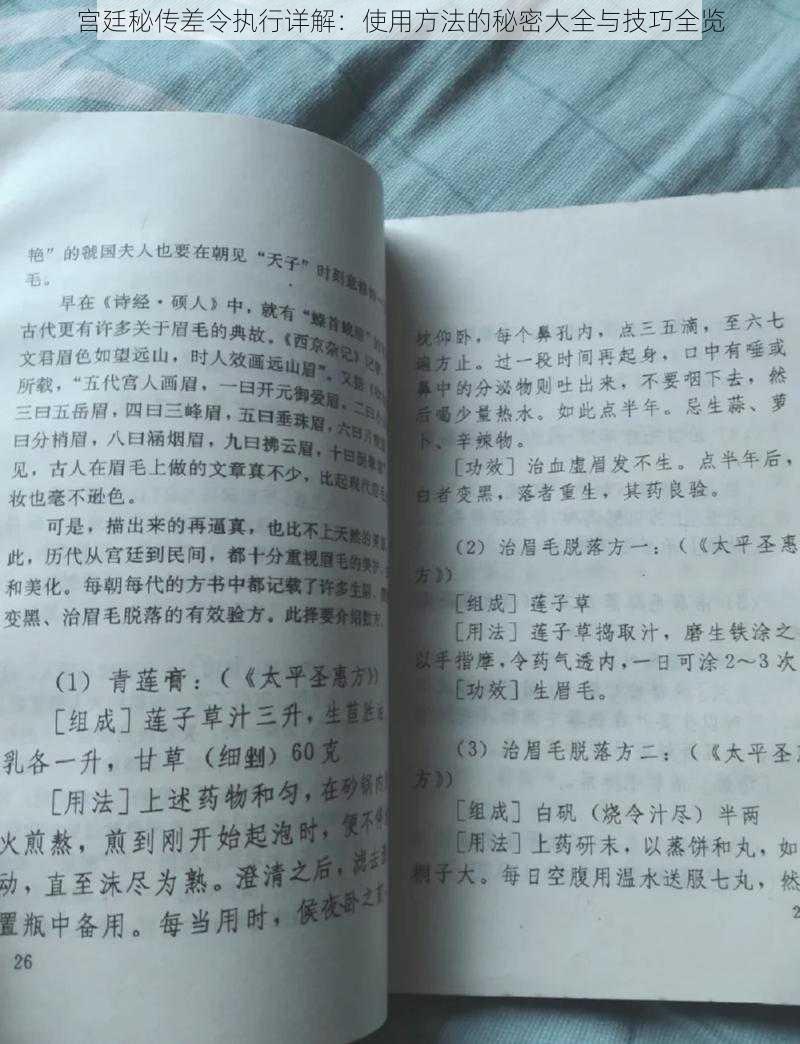 宫廷秘传差令执行详解：使用方法的秘密大全与技巧全览