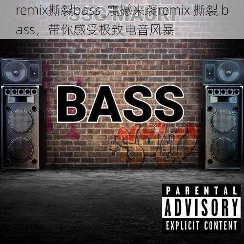 remix撕裂bass_震撼来袭remix 撕裂 bass，带你感受极致电音风暴