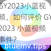 GY2023小蓝视频、如何评价 GY2023 小蓝视频事件？