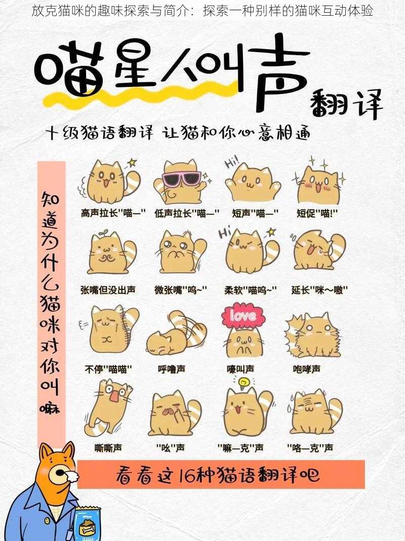 放克猫咪的趣味探索与简介：探索一种别样的猫咪互动体验