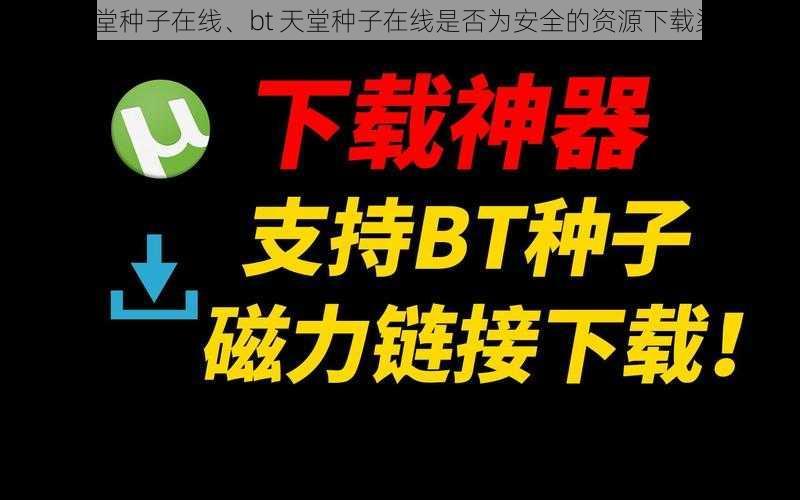 bt天堂种子在线、bt 天堂种子在线是否为安全的资源下载渠道？