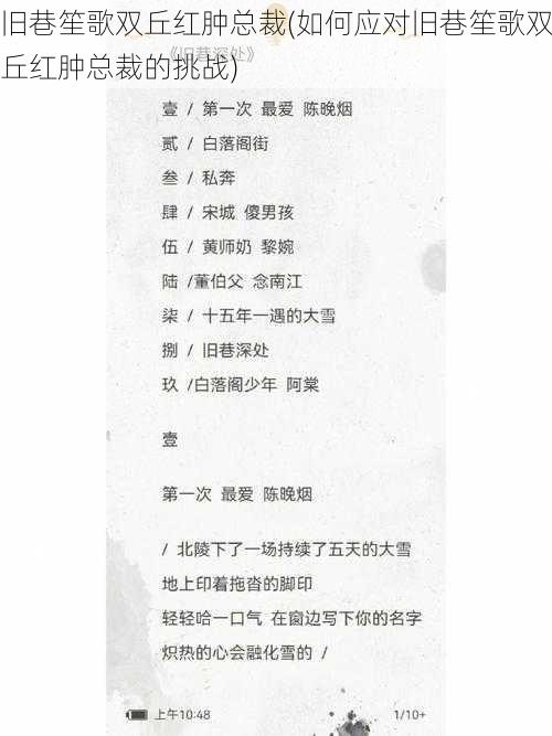 旧巷笙歌双丘红肿总裁(如何应对旧巷笙歌双丘红肿总裁的挑战)