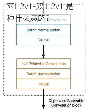 双H2v1-双 H2v1 是一种什么策略？