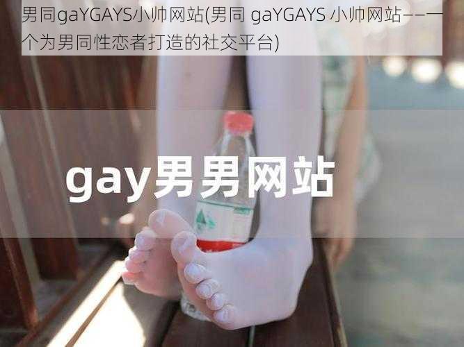 男同gaYGAYS小帅网站(男同 gaYGAYS 小帅网站——一个为男同性恋者打造的社交平台)