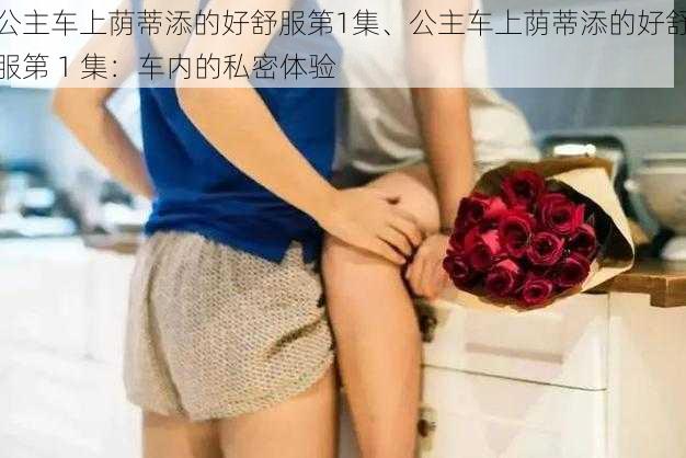 公主车上荫蒂添的好舒服第1集、公主车上荫蒂添的好舒服第 1 集：车内的私密体验