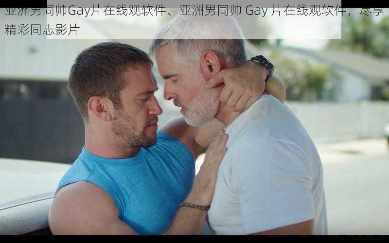 亚洲男同帅Gay片在线观软件、亚洲男同帅 Gay 片在线观软件，尽享精彩同志影片