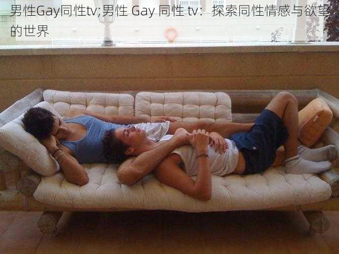 男性Gay同性tv;男性 Gay 同性 tv：探索同性情感与欲望的世界