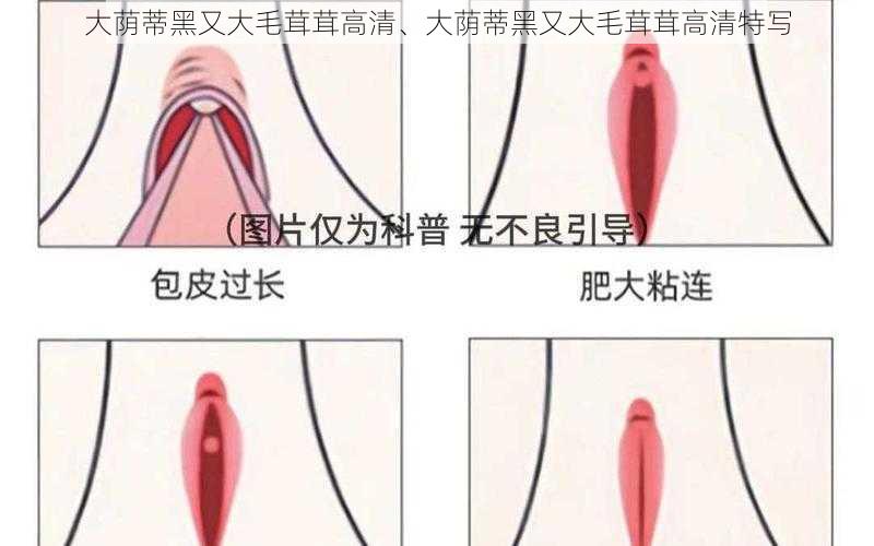 大荫蒂黑又大毛茸茸高清、大荫蒂黑又大毛茸茸高清特写