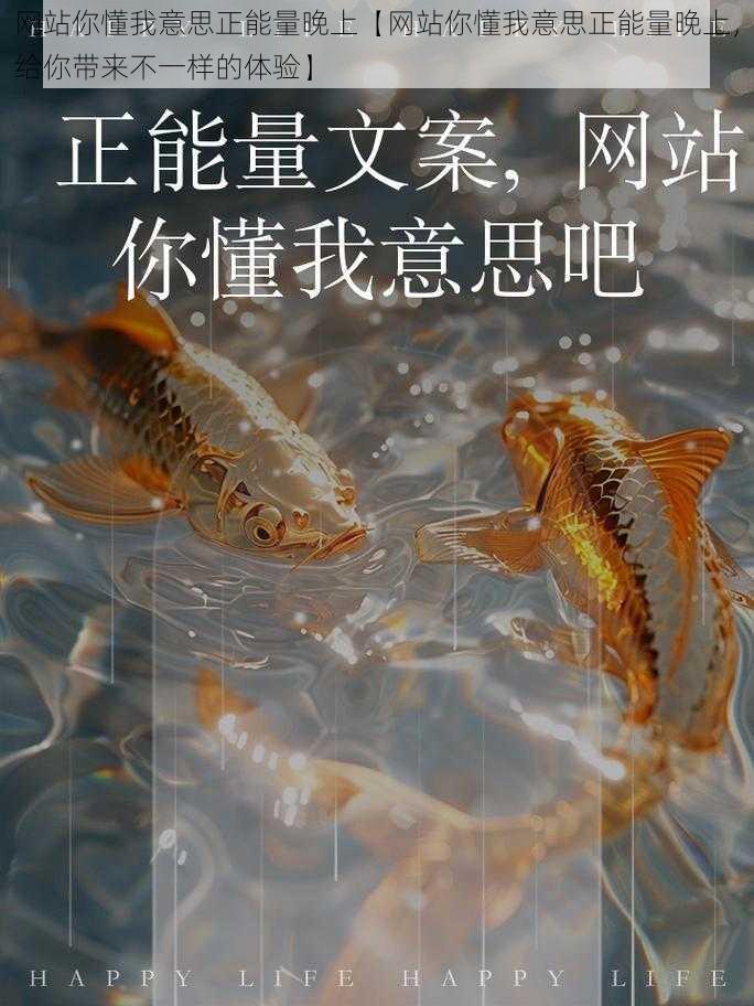 网站你懂我意思正能量晚上【网站你懂我意思正能量晚上,给你带来不一样的体验】
