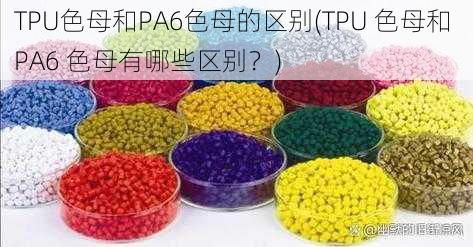 TPU色母和PA6色母的区别(TPU 色母和 PA6 色母有哪些区别？)