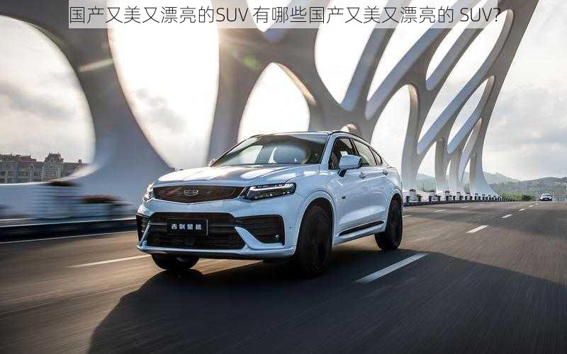 国产又美又漂亮的SUV 有哪些国产又美又漂亮的 SUV？