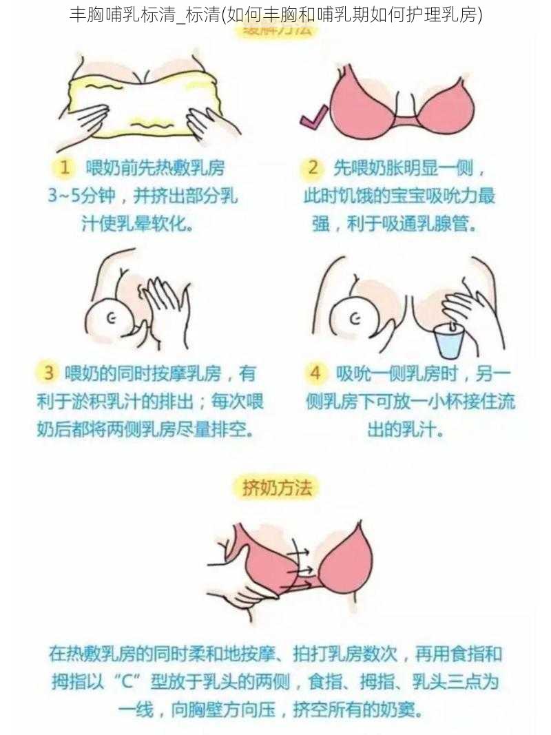 丰胸哺乳标清_标清(如何丰胸和哺乳期如何护理乳房)