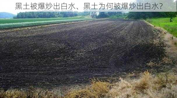 黑土被爆炒出白水、黑土为何被爆炒出白水？