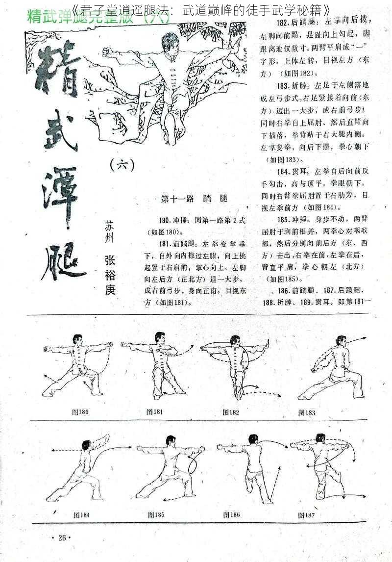 《君子堂逍遥腿法：武道巅峰的徒手武学秘籍》