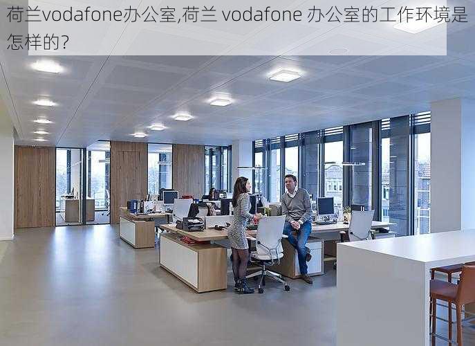 荷兰vodafone办公室,荷兰 vodafone 办公室的工作环境是怎样的？